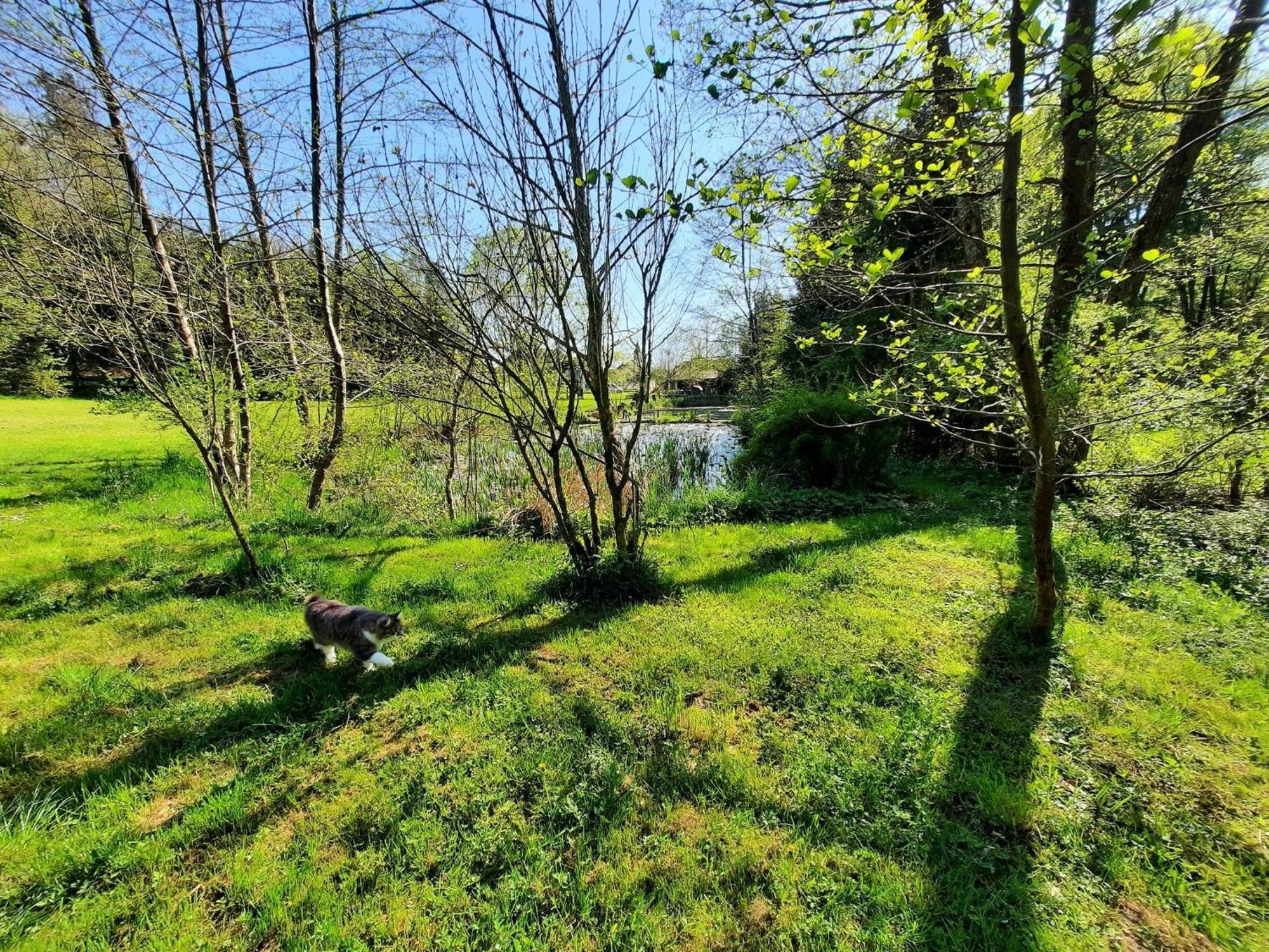 Apartment Alpipond Kamnik Bagian luar foto